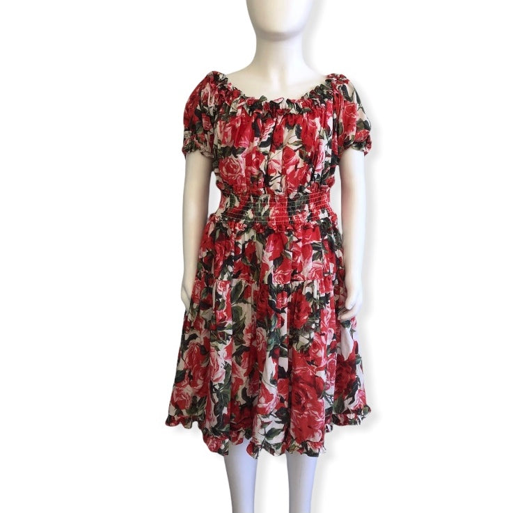 Marlo Roses dress - Size 11 - 12
